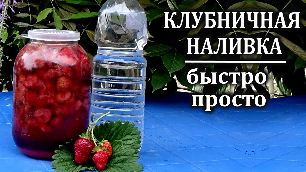 Наливка из клубники в домашних условиях Приготовить просто | Любимая  усадьба | Дзен