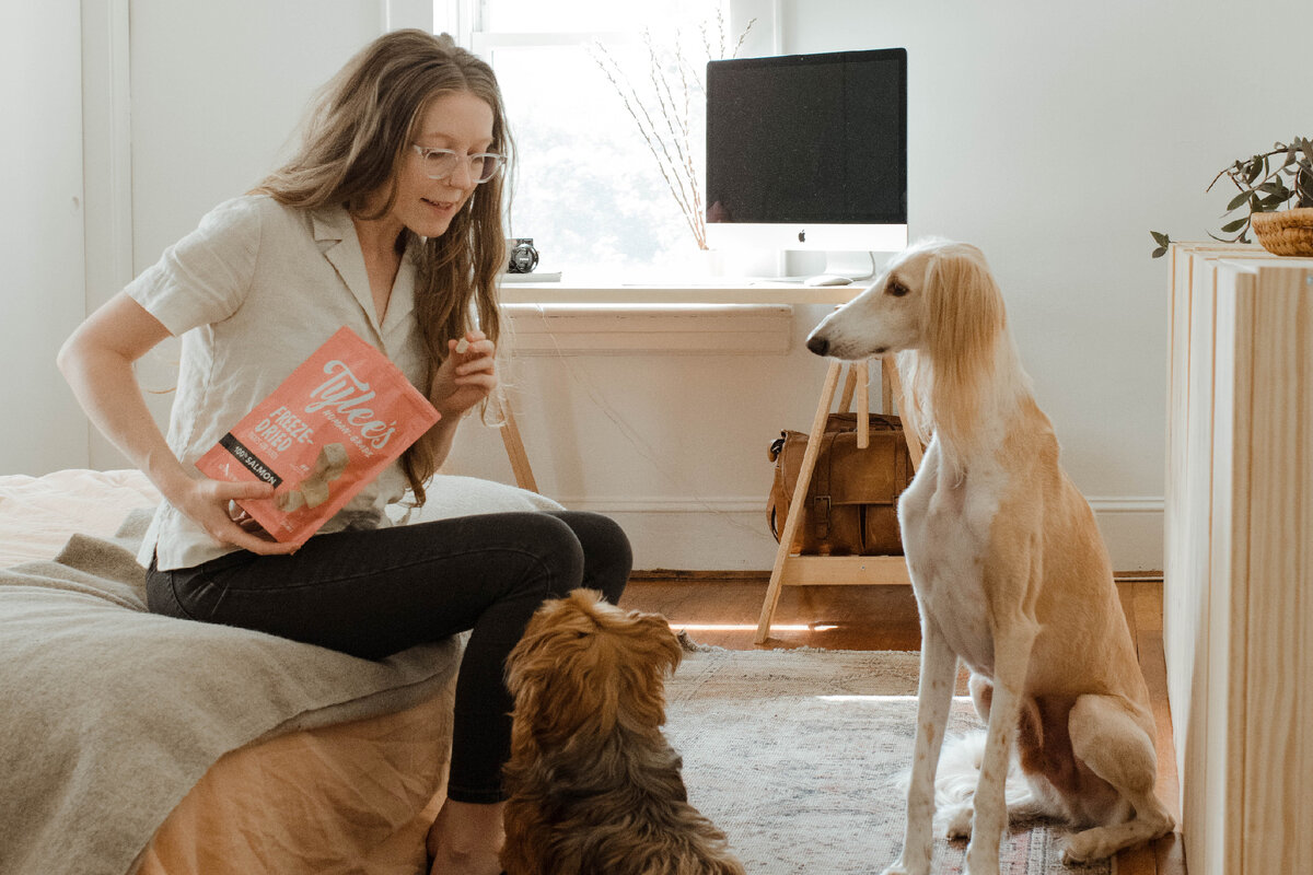 Фото: Chewy на Unsplash