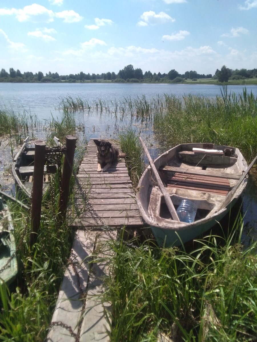 Фото автора. 