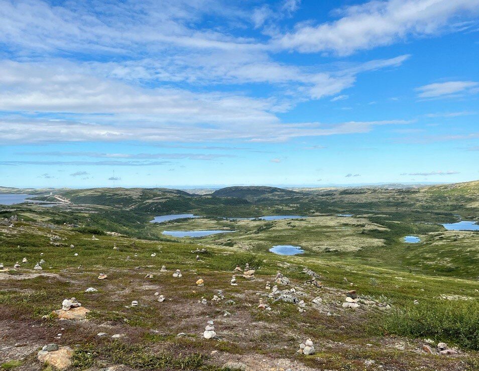 Мое самое любимое фото с поездки! Как раз по дороге до Териберки.