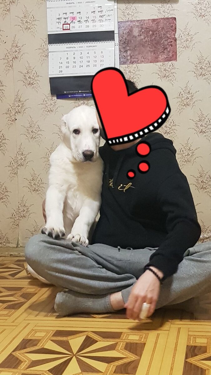 Ласковая девочка