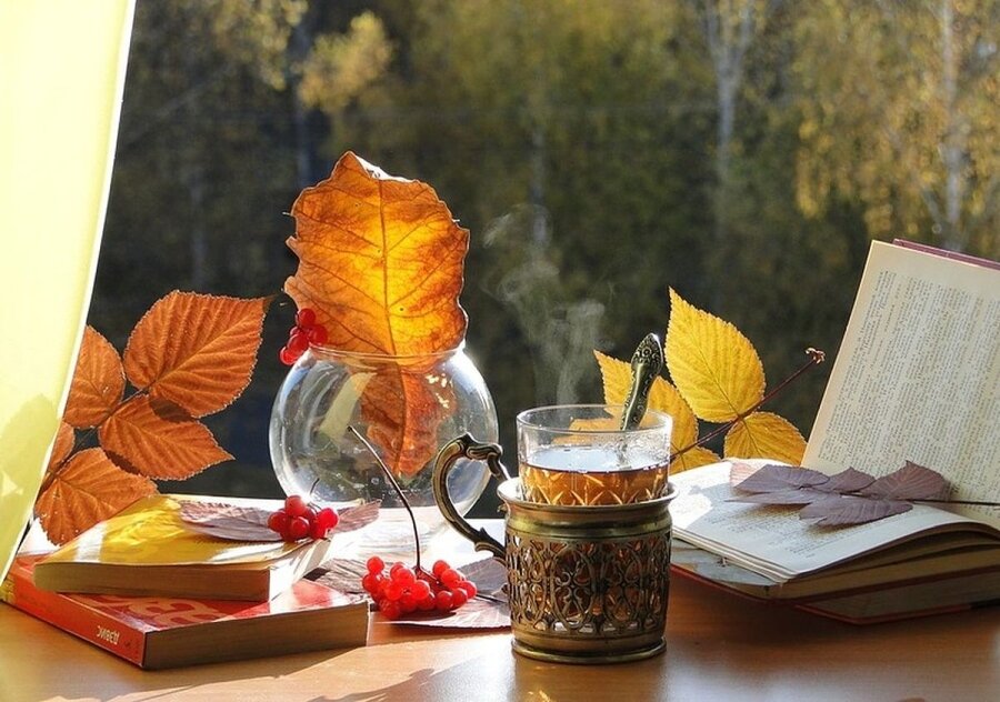 яндекс картинки