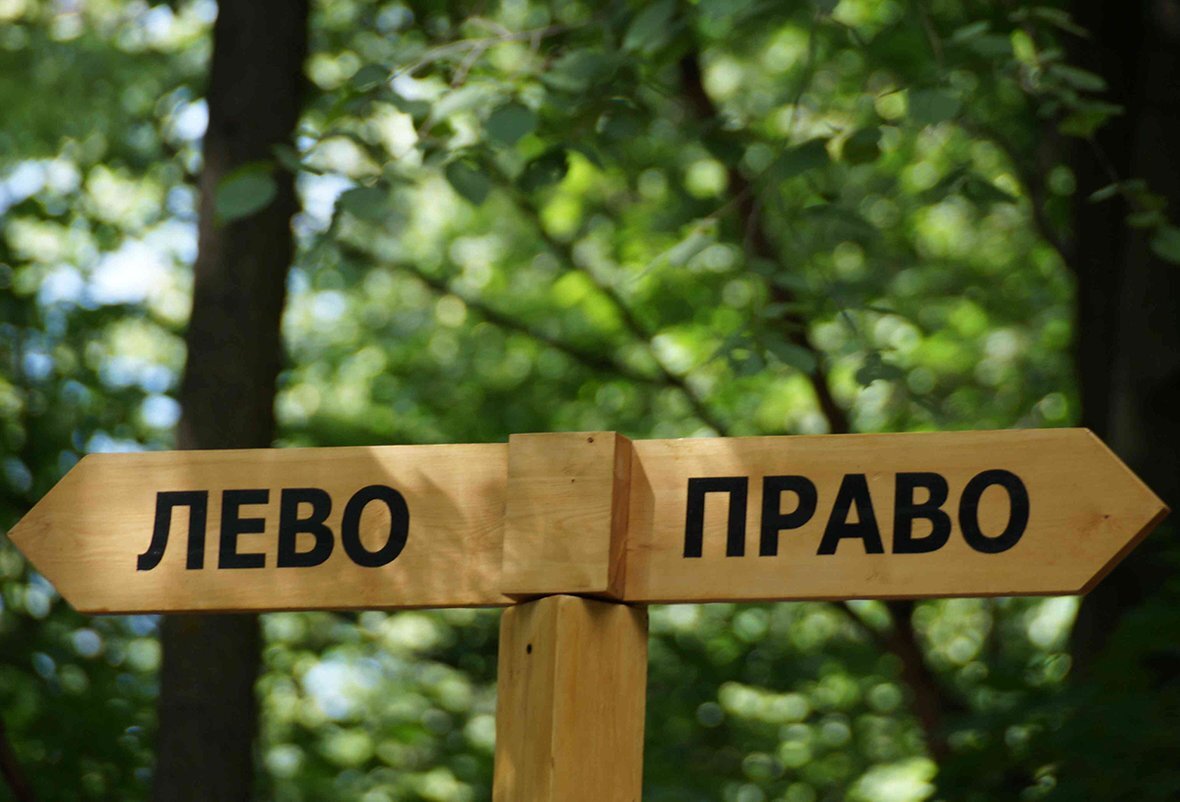 Почему люди путают лево и право?