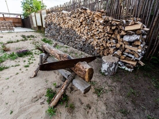     Фото: Густаво Зырянова/Сиб.фм