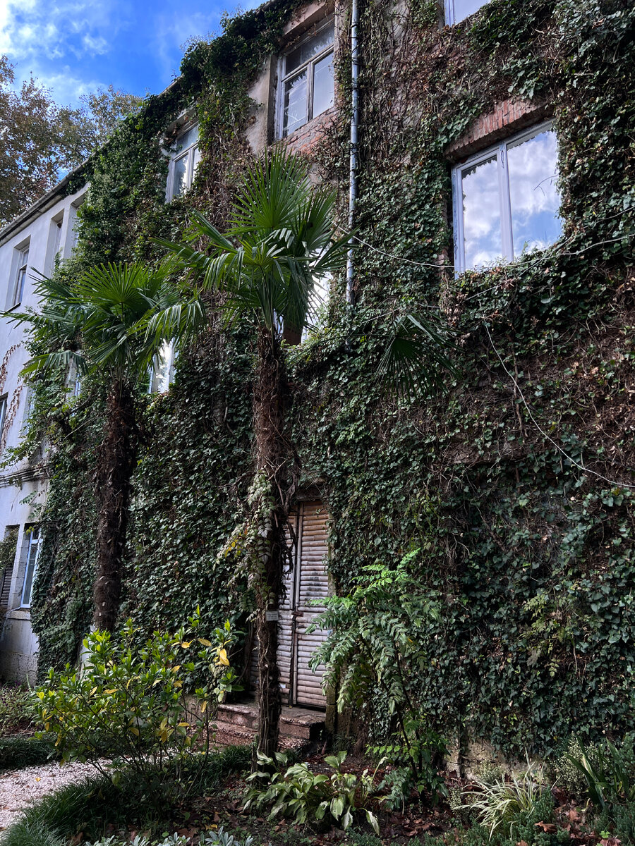 «Живая стена» особенно приглянулась 