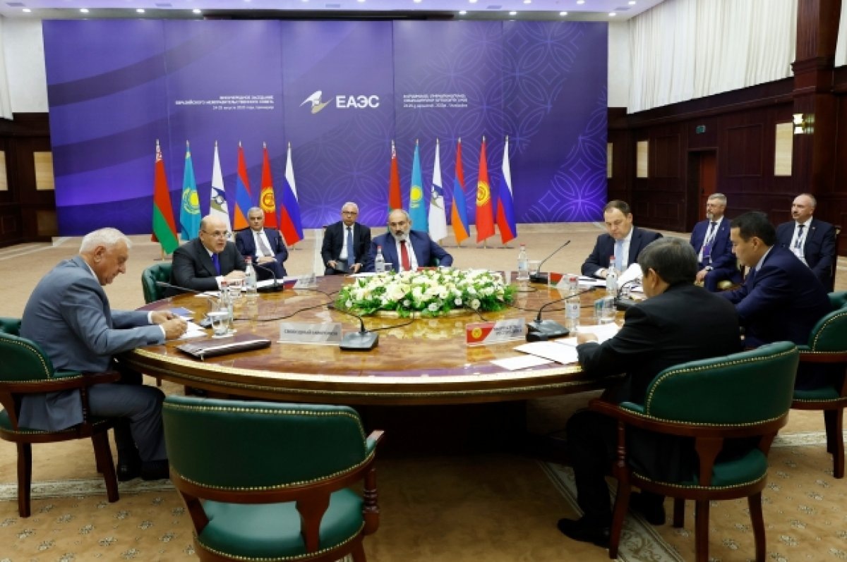    Пашинян заявил об успешном развитии ЕАЭС, несмотря на вызовы