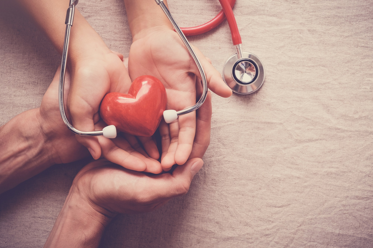 Врач занимающийся сердцем. Сердце медицина. Сердце кардиология. Врач с сердечком. Сердце в руках медицина.