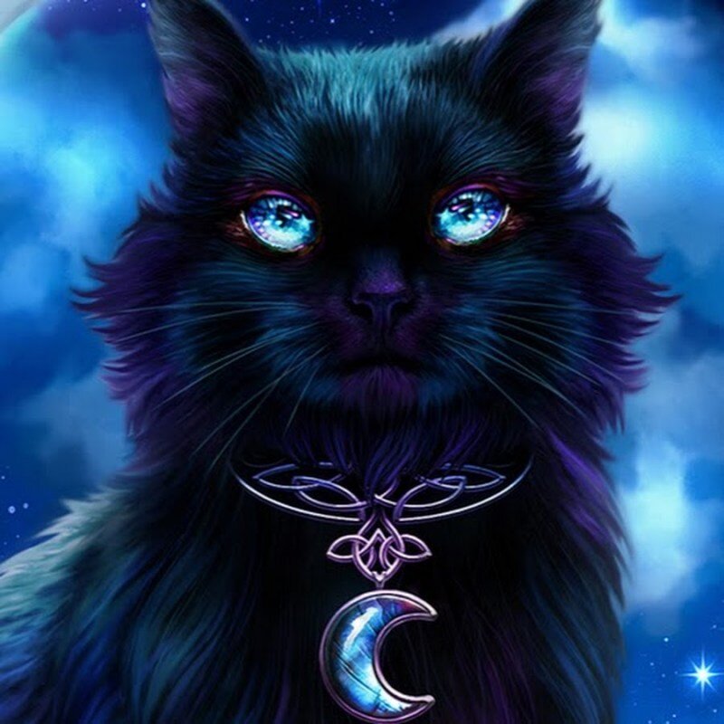 Котэ и синий. Магические коты. Мистические коты. Фэнтези кошки. Волшебный кот.
