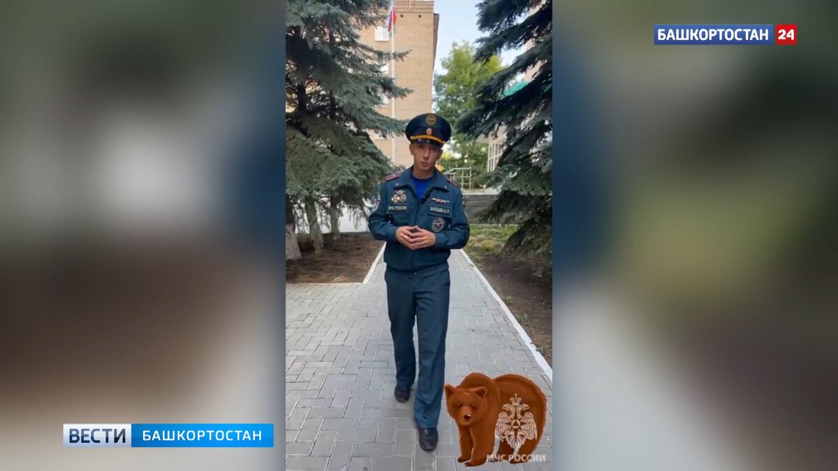    В МЧС Башкирии рассказали, как вести себя при встрече с медведем