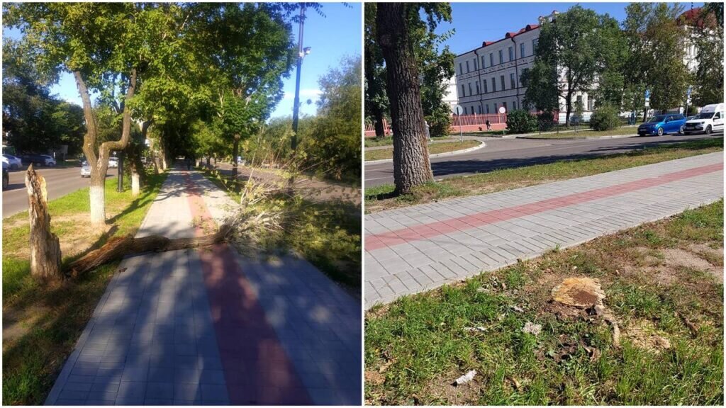    Фото: администрация Благовещенска