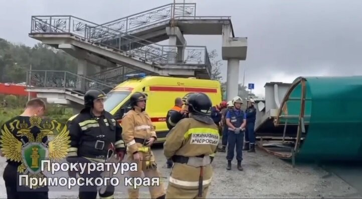 Фото: скриншот видео Прокуратуры Приморья