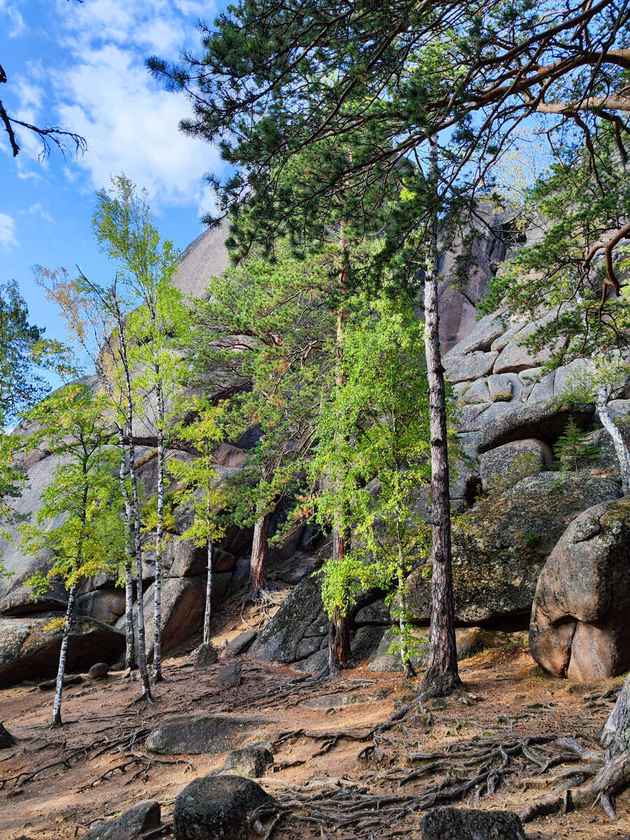 Заповедник "Красноярские Столбы" Первый столб. 