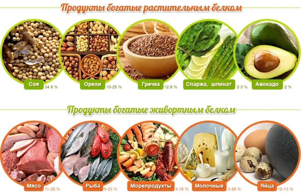 Много белковые продукты. Источник растительного белка таблица. В каких продуктах содержатся растительные белки. Растительный белок продукты. Белки основной строительный материал клеток.