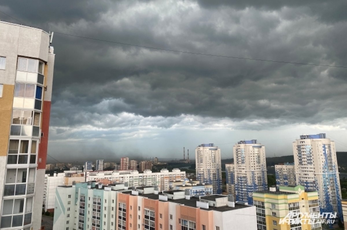    В МЧС предупредили об усилении ветра до 25 м/с в Новосибирске