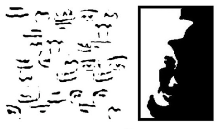   Brad Duchaine et al. / iScience, 2023