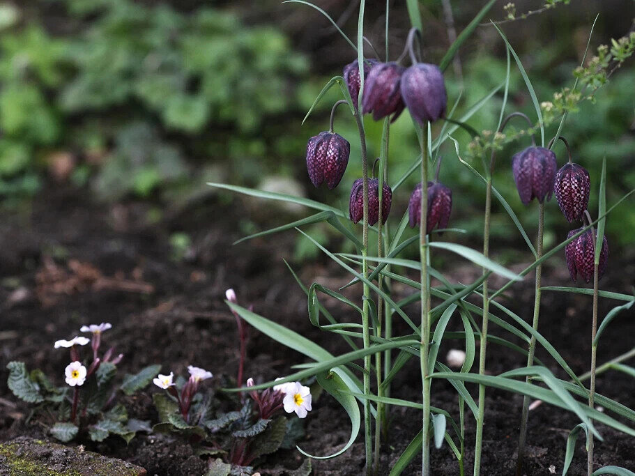 фото с канала: https://dzen.ru/b/ZFstSHAK3jGA8bPK