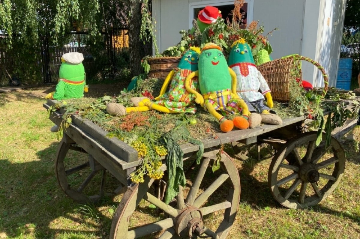    Суздальский День огурца вошёл в топ-5 самых необычных праздников России