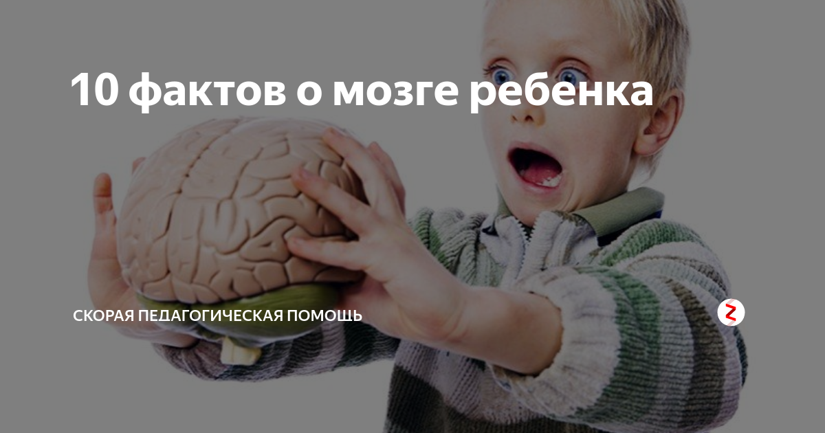 Секреты развития мозга ребенка. Мозг ребенка. Мозг ребенок психолог. Мозг ребенка 1 год. Маленькие дети мозг не понятно.