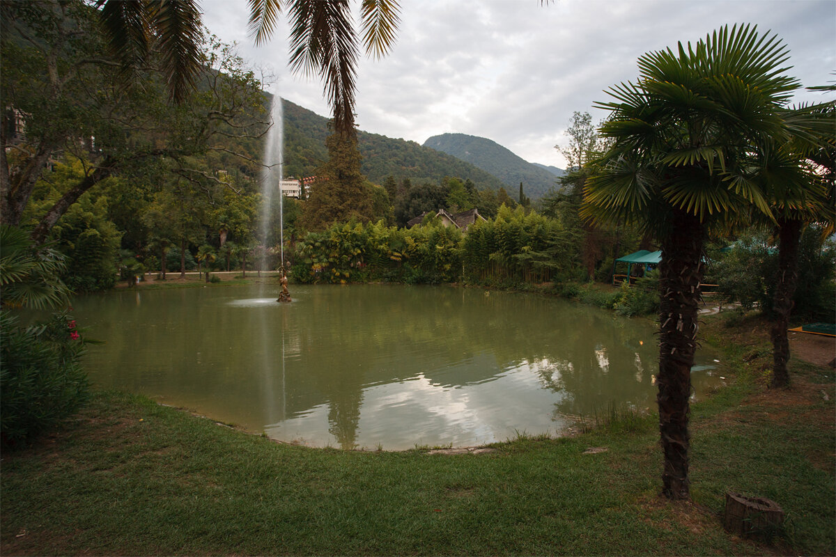 Приморский парк Старой Гагры.


