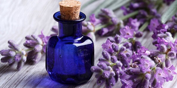 Если Вы читаете данную статью, значит, вы уже являетесь ценителем натуральных средств заботы за здоровьем или находитесь на пути, чтобы примкнуть в наши ряды.
 Сегодня в своей статье мы расскажем Вам про эфирное масло лаванды. Многие скажу, что про это масло они все знают, однако мы все-таки попробуем Вас удивить.
 