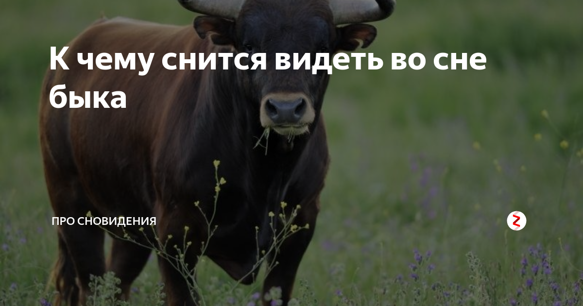 Что означает образ животного в сновидении