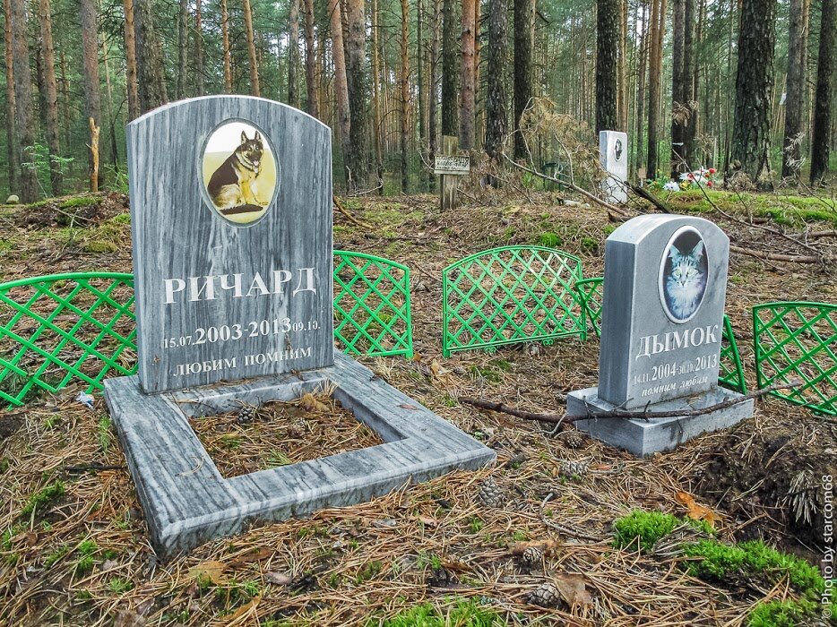 Кладбище домашних животных москва фото