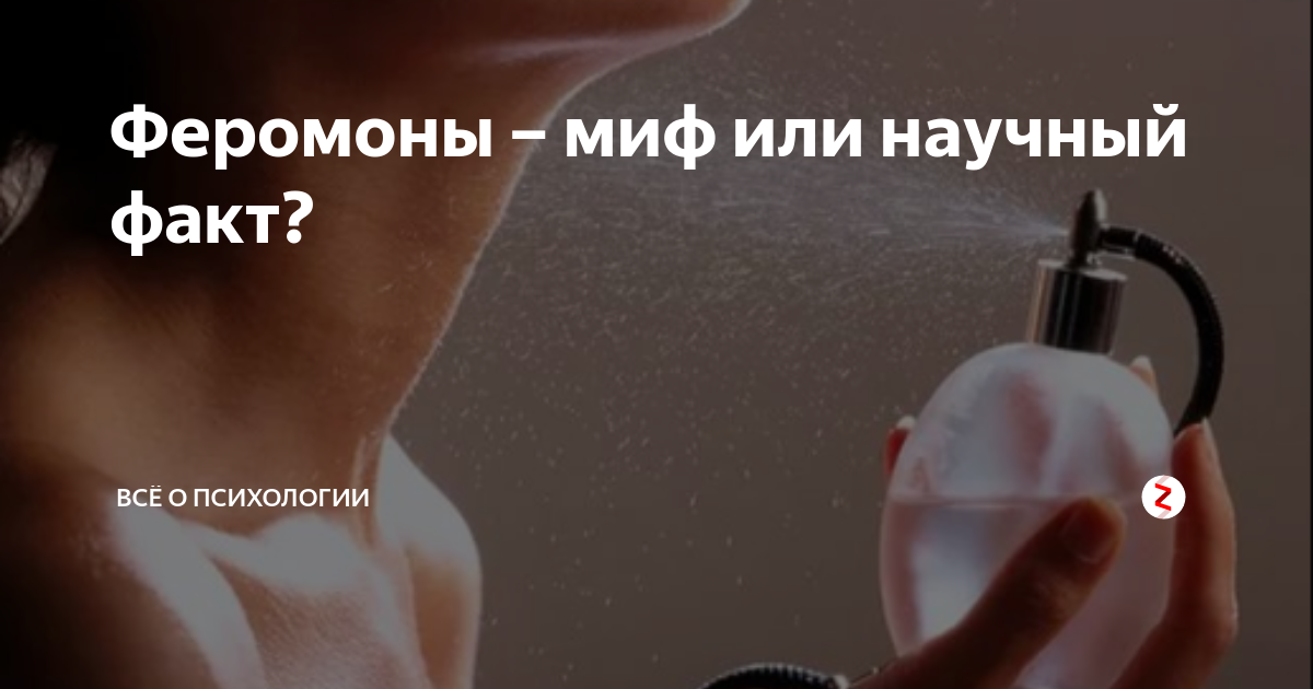 Феромоны говорят иначе 18