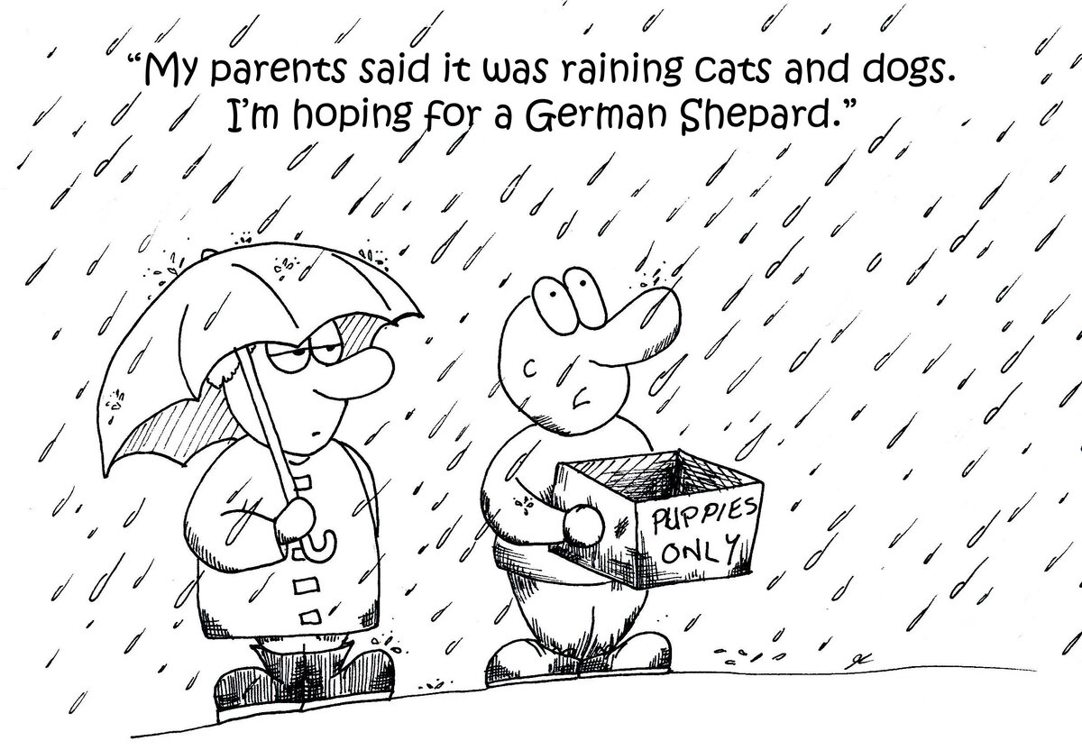 "Мои родители сказали, что идет дождь "из кошек и собак". Я надеюсь на немецкую овчарку."