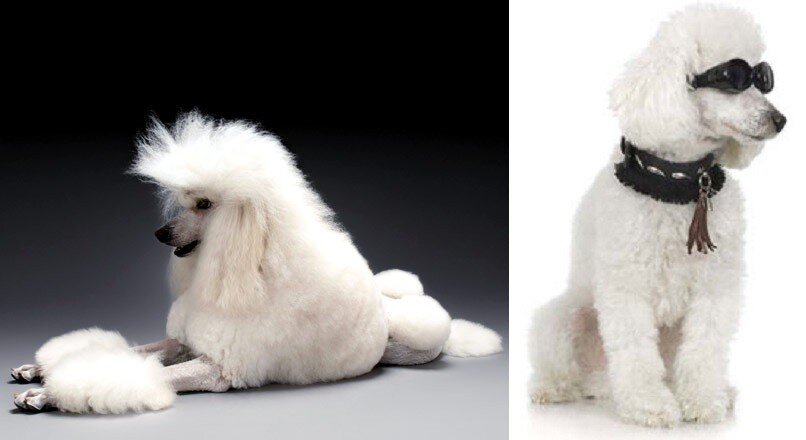 2. Тоби Раймс (92 000 000 $) 