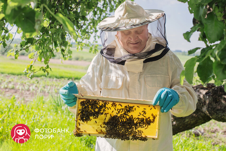 © Майя Крученкова / Фотобанк Лори  