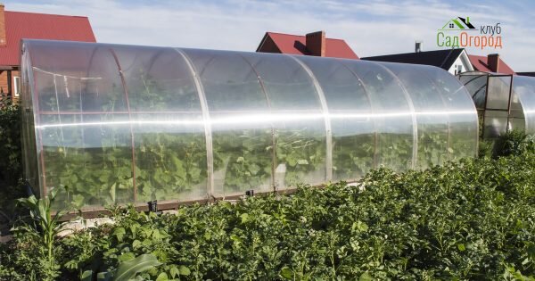 фото: depositphotos.com