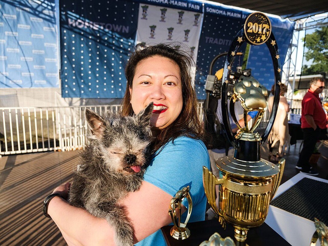 Китайской хохлатой собаке по кличке Ти Ти немного не хватило до первого места. Фото: Sonoma-Marin Fair