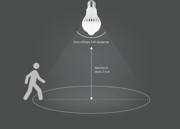Светодиодная Лампа С Датчиком Движения: Преимущества, Выбор И Принцип Работы