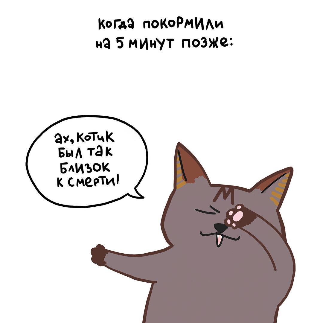 У нас котики всегда разыгрывают целые драмы, когда считают, что люди опаздывают с кормлением) Кто-то демонстративно дерет стены, а кто-то шумно ползает под диваном или истерично копается в туалете)

А какие спектакли разыгрывают ваши котики?)