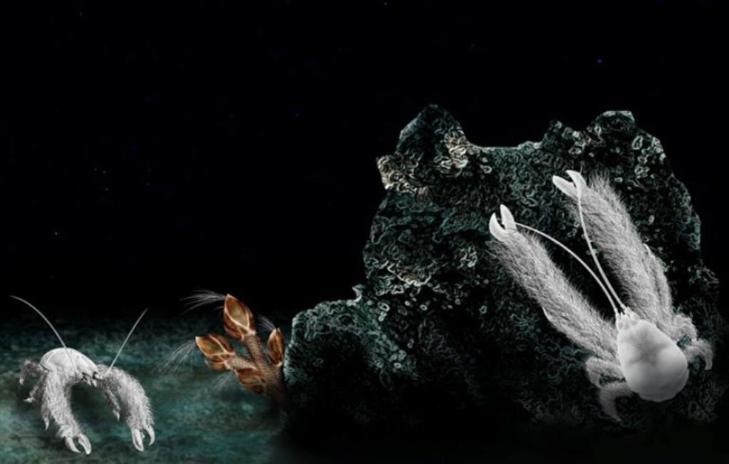 Реконструкция естественных мест обитания