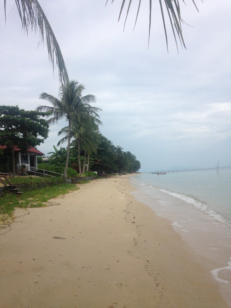 Утренняя пробежка по берегу моря  - это что-то, я тебе скажу!