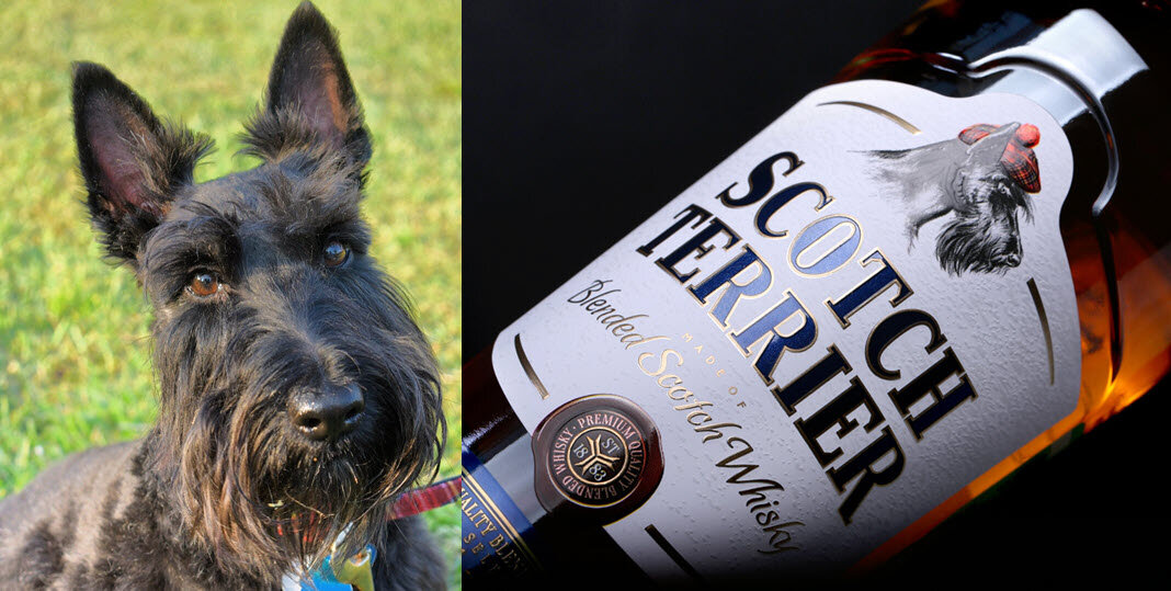 Источник: vk.com