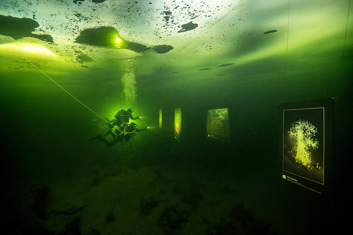 белое море под водой