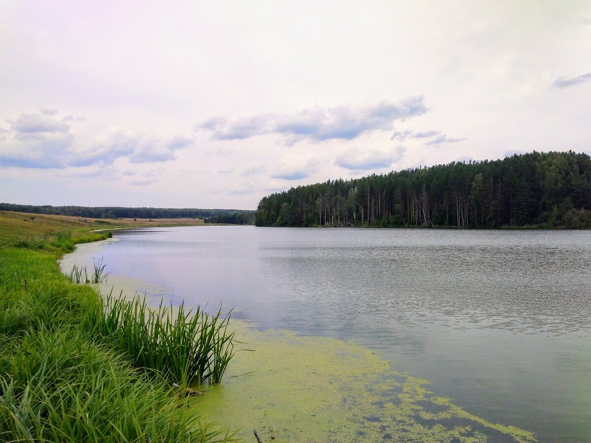 Водоемы ульяновской области проект