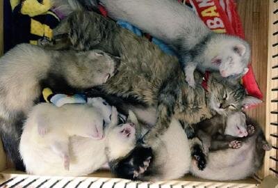 Фото с fb.ru