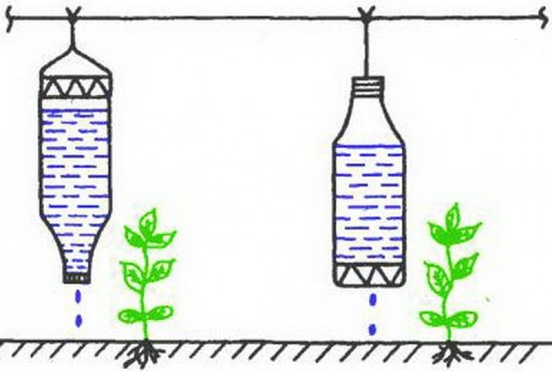 Как сделать полив из пластиковой бутылки :: Инфониак