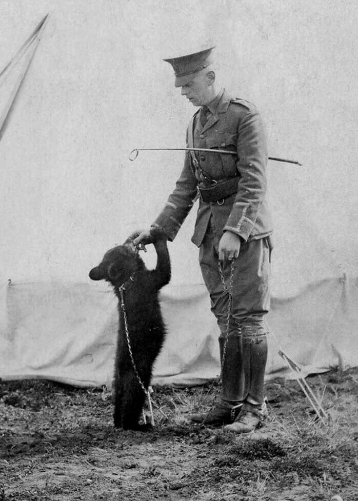 Винни (впоследствии Пух) и капитан Гарри Колберн, Белая Речка, Онтарио, 1914 год.