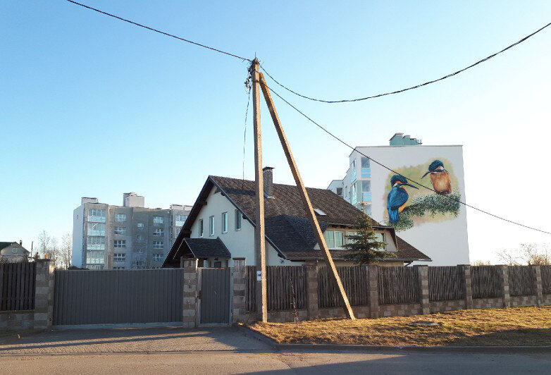 Деревня Озерцо в Минском районе