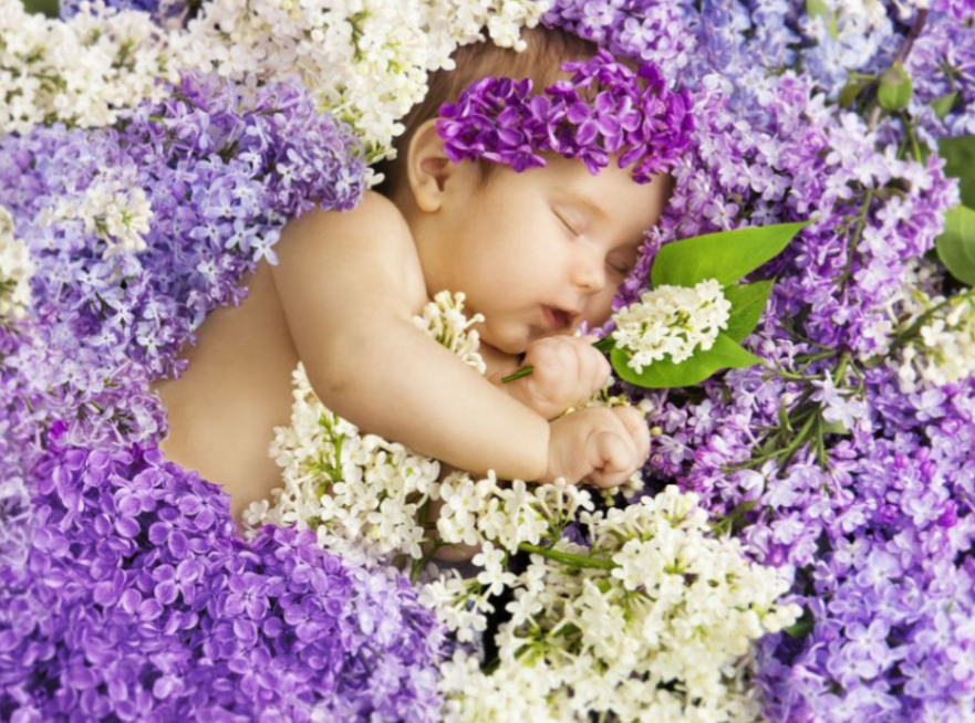 Весной рождаются самые. Фотосессия в младенцем в цветущими сиренью. Новорожденный в цветах. Фотосессия грудничка с сиренью. Младенцы в сирени.