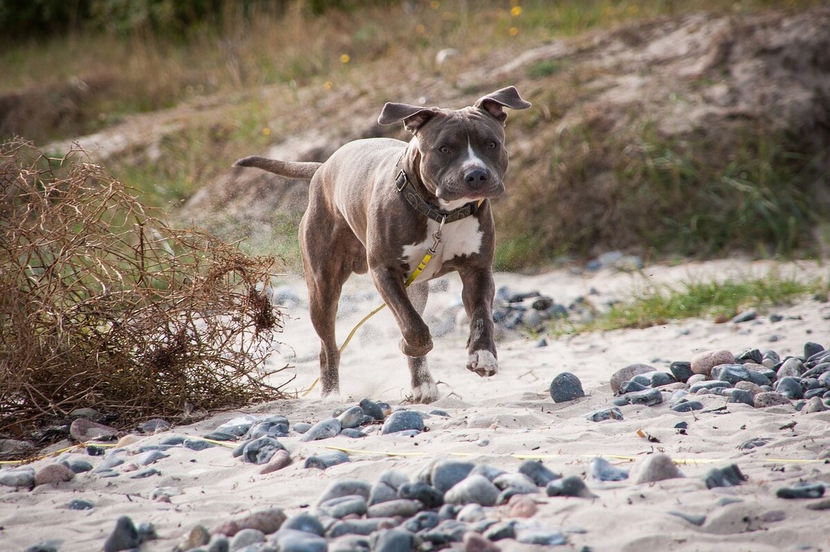 Фото https://pixabay.com/ru/