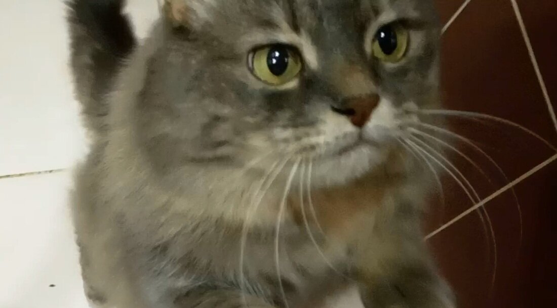 Маня уговаривает меня свалить на прогулку