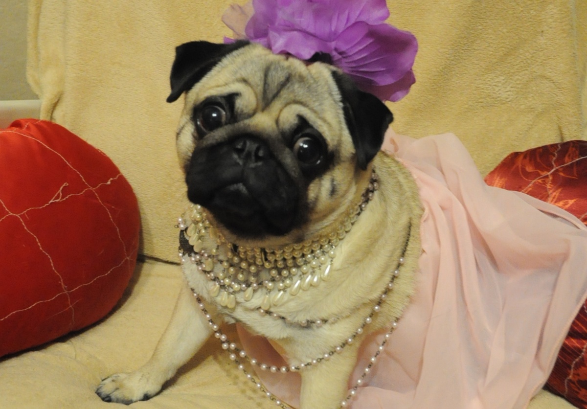 По-моему, в этом наряде Луна очень похожа на Luna Lovegood, такая же странная, но милая