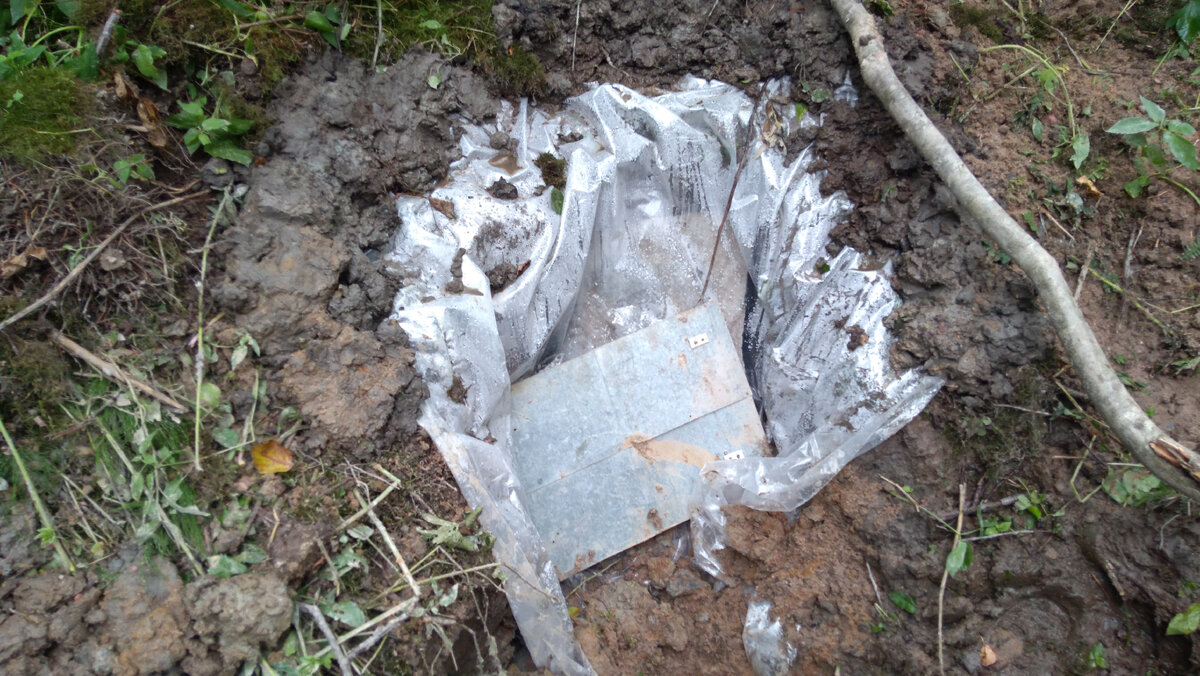 Источник: фото автора