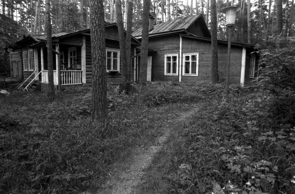Николина гора старые