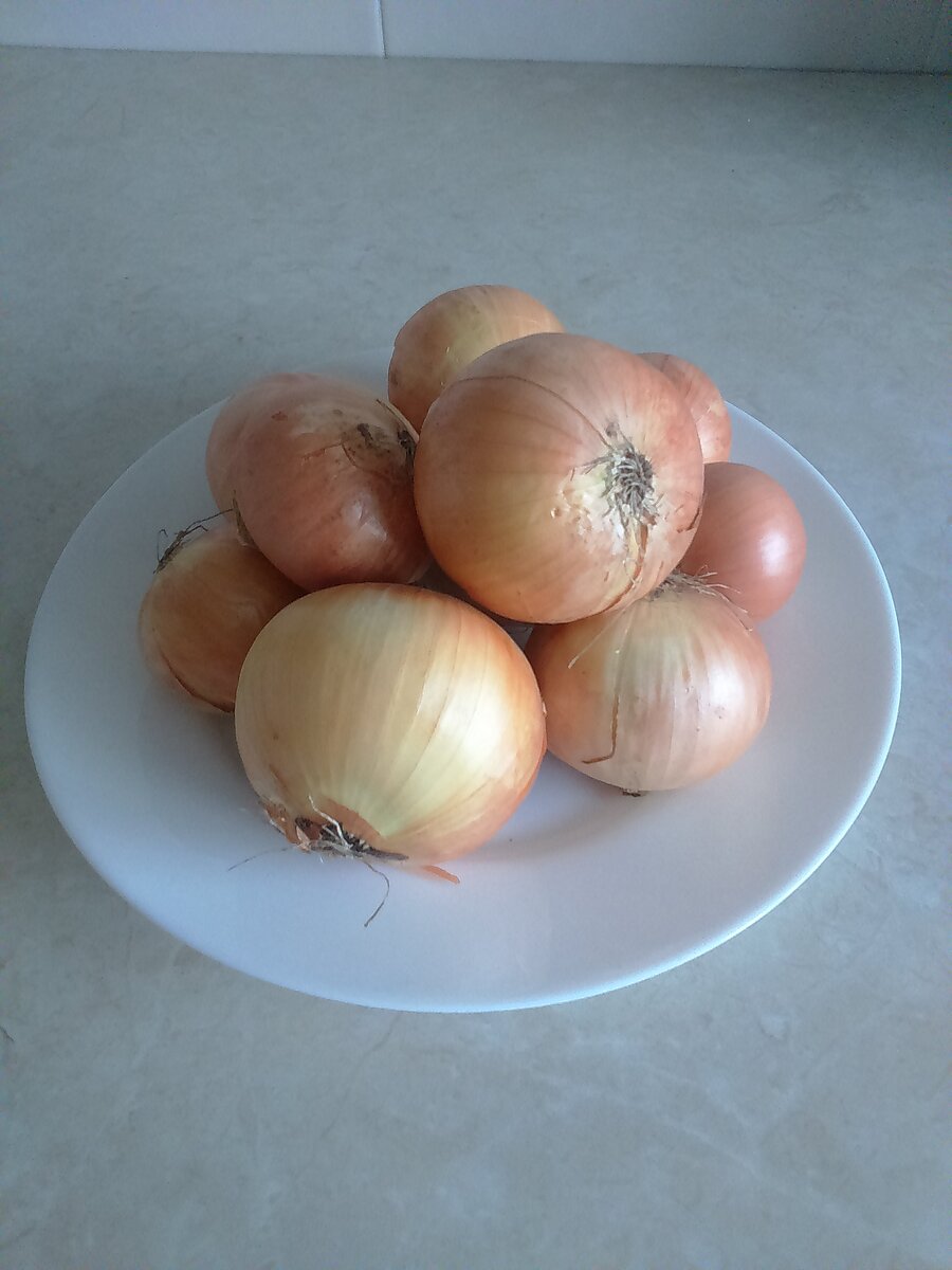 Сидит дед во сто шуб одет, кто его раздевает, тот слёзы проливает